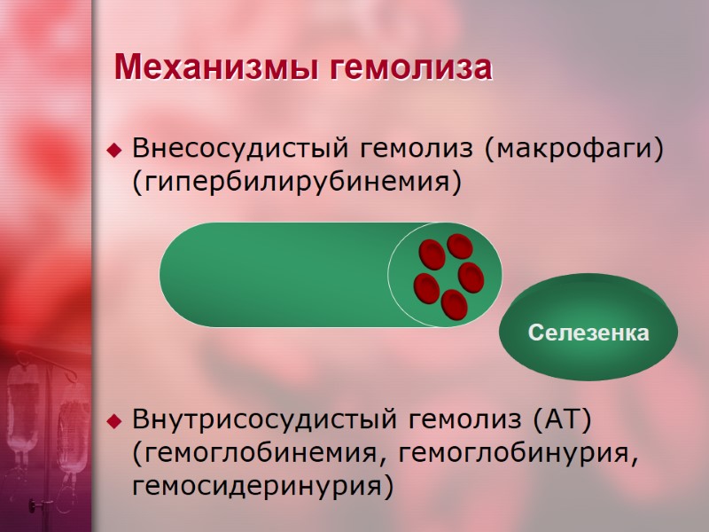 Механизмы гемолиза Внесосудистый гемолиз (макрофаги) (гипербилирубинемия)      Внутрисосудистый гемолиз (АТ)